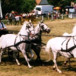 Konji bjelci iz Babine Grede 150x150 Pjesma žena i divojki na Slavonskom selu