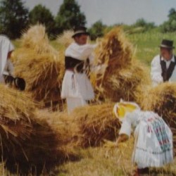 Tradicionalna Slavonska žetva