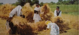 Tradicionalna Slavonska žetva