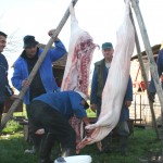 kolinje narodni.net  150x150 Zaboravljena mista Dalmatinske zagore  Drniš  grad pršuta i očuvane prirode