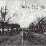 Slavonska tradicija 150x150 Lipa – sveto slavensko drvo