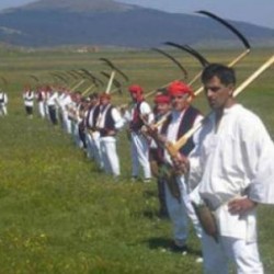 košenje trave kosci na livadi