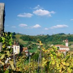 Povijest vinove loze hrvatskog zagorja povijest vinogradarstva u slavoniji 150x150 Povijest vinove loze hrvatskog zagorja