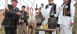 tradicija vinarstva