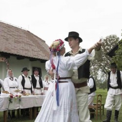 ženidba i običaji