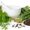 Mortar and Pestle with Herbs and Spices