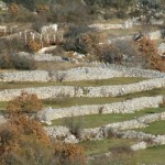 11260200 150x150 Zaboravljena sela Dalmatinske zagore Vujevići