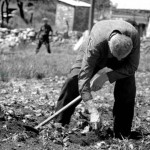 Narodni život na selu i polju 150x150 Poljodjelski radovi i način života u Bosni