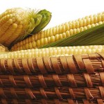 tradicionalna slavonska gastronomija 150x150 Najpotpuniji recept za slavonski čobanac