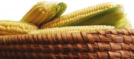 tradicionalna slavonska gastronomija