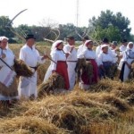 život i običaji u slavoniji 150x150 Sve o slavonskoj šljivovici