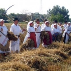 život i običaji u slavoniji