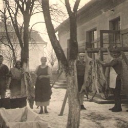 Kolinje ili svinjokolja nekada