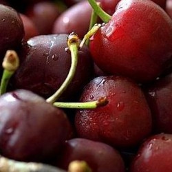 ljekovitost i ljekovita svojstva trešanja