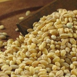 ljekovitost ječma i ljekovita svojstva ječma3