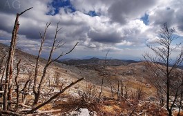 Dalmatinska zagora
