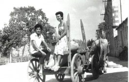 Volovska zaprežna kola