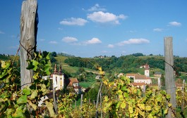 Povijest vinogradarstva u Zagorju i Slavoniji