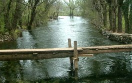 Nači života i poslovi u Imotskom polju i okolici