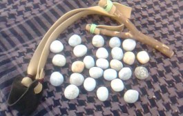 Kako su naši stari izrađivali svoje igračke