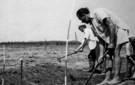 Odrastanje na siromašnom Dalmatinskom kamenjaru i poslovi u mladosti