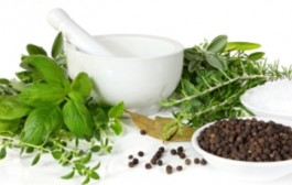 Ljekovite, začinske trave -pripravci od začinskog bilja-