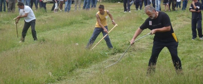 Očuvanje tradicije i narodnih običaja u Imotskoj Krajni (natjecanje kosaca)