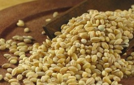 Ječam po narodnom rimskom receptu