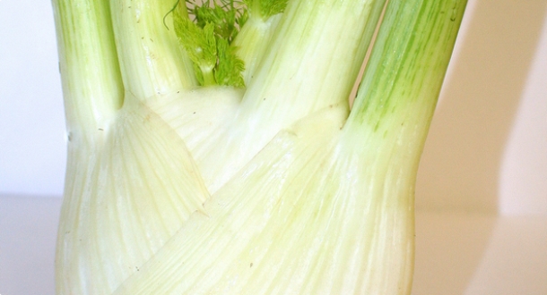 KOROMAČ – tradicionalni mediteranski začin ili nešto više