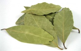 LOVOR – Najpoznatiji mediteranski začin