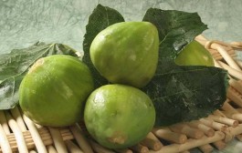 SMOKVA- Tradicionalna mediteranska namirnica