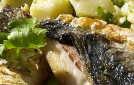 Riblja zdijela narodni recept starih rimljana