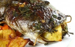 Somova glava na hladetini