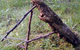 Kako je izgledao lov prijašnjih generacija?