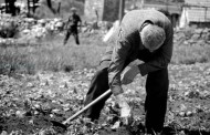 Poljodjeljstvo u životu naših starih