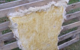 Tradicionalna obrada i uporeba kože i roga