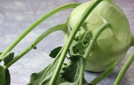 Tradicionalna jela s korabom