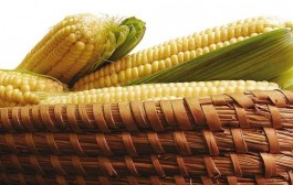 Tradicionalna Slavonska jela i tradicionalna prehrana u Slavoniji