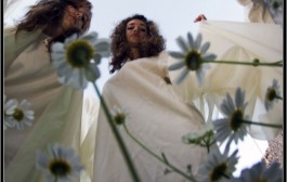 Priča o vilama u polju