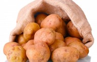 Ljekovita svojstva krompira i primjena krompira kao ljeka
