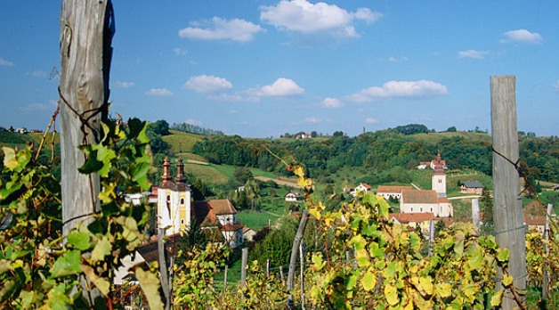 Tradicionalni običaji za rujan mjesec berbe i rujnog vina