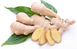 Đumbir, ljekovita svojstva i primjena đumbira