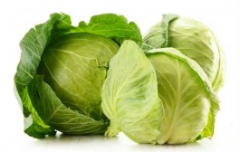 Kupus vrlo ljekovita namirnica, korištenje kupusa kao ljeka