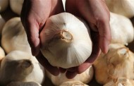 Ljekovita svojstva češnjaka i korištenje češnjaka kao ljeka