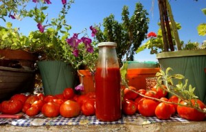 Zbogom-vrtovima-EU-i-Hrvatskoj-zabranjuje-autohtone-i-stare-sorte-sjemenja