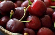 Kreće berba trešanja, što sve trebate znati o trešnjama