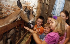 Obitelj i tradicionalni obiteljski odgoj