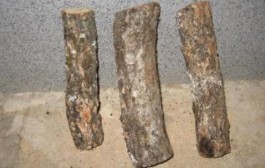 Kako se pripremaju badnjaci? Tradicionalna Badnja večer na selu