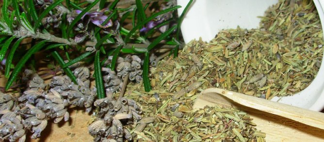 Ljekovita svojstva ružmarina, ljekoviti ružmarin kroz povijest