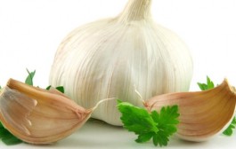 Sva ljekovita svojstva češnjaka